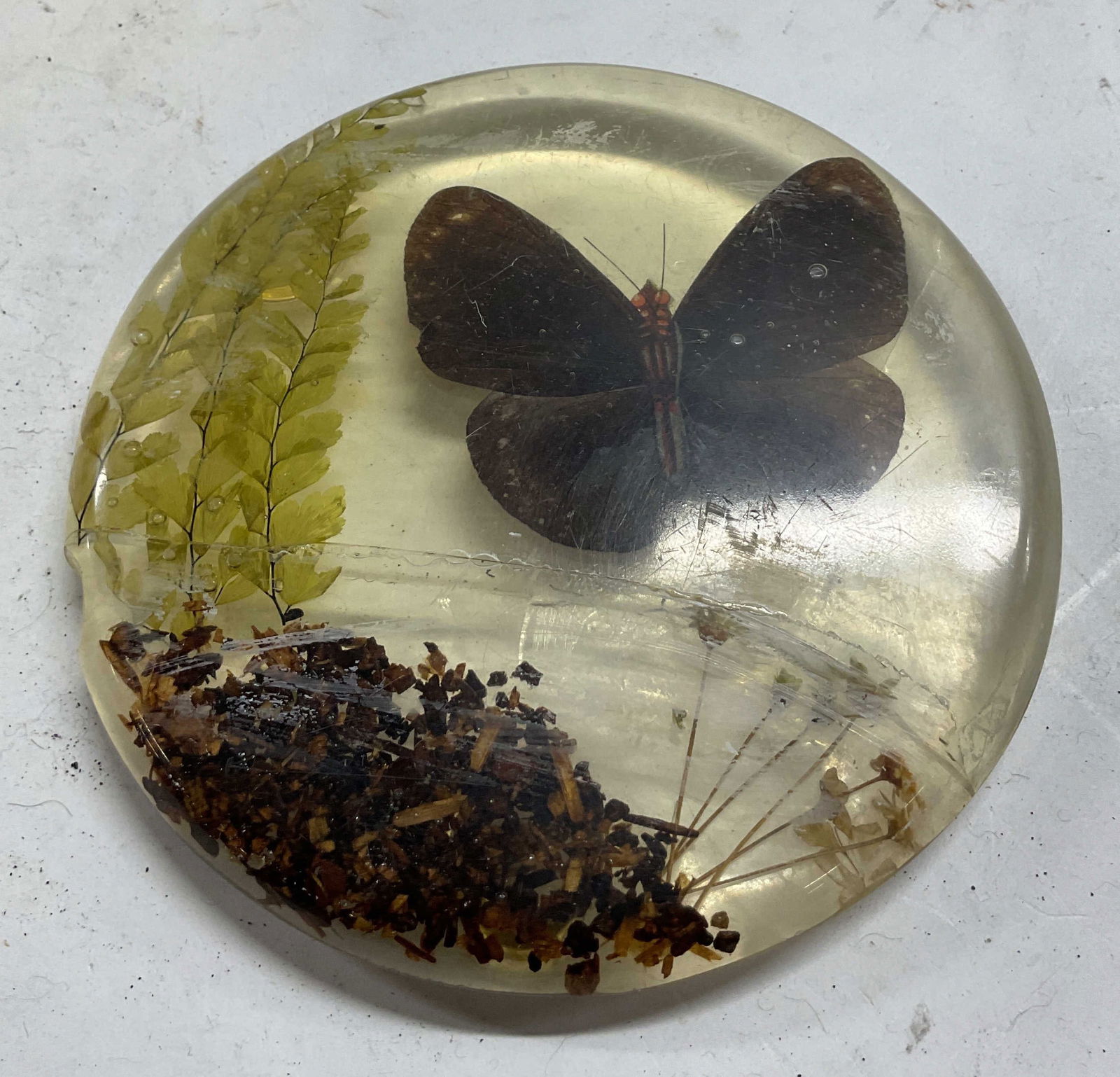 Vtg Resin Preserved Butterfly Trivet USA: Vintage resin preserved butterfly trivet. Made in USA. black butterfly and floral design. Signed on underside, illegible. Measures 5.5 inches. Some surface wear including residue, scratching and chipp