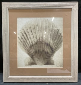 Framed Signed Seashell Lithograph