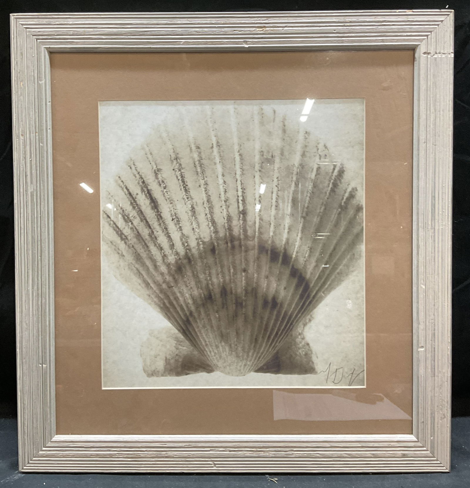 Framed Signed Seashell Lithograph (1 of 6)