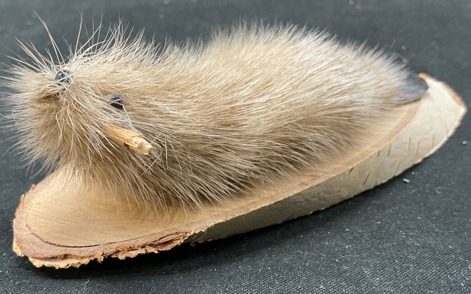 Vtg Wooden Fur Small Beaver Figurine (1 of 6)