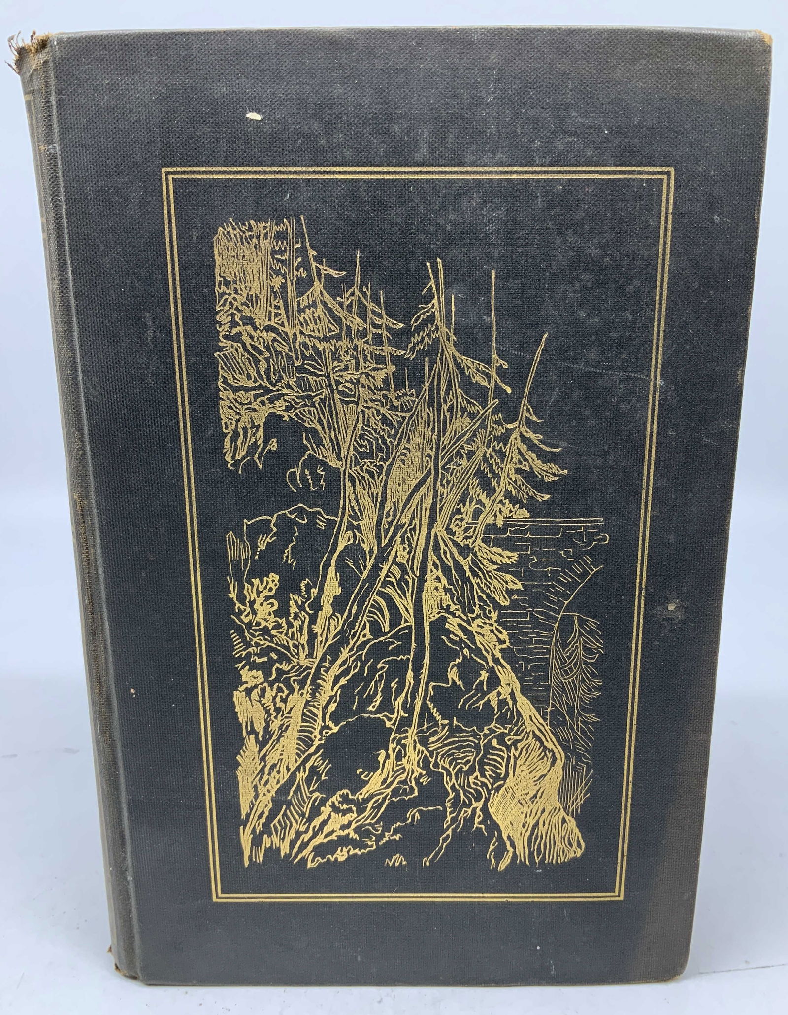 1908 Etching & Etchers Illustr Bk Hamerton (1 of 12)