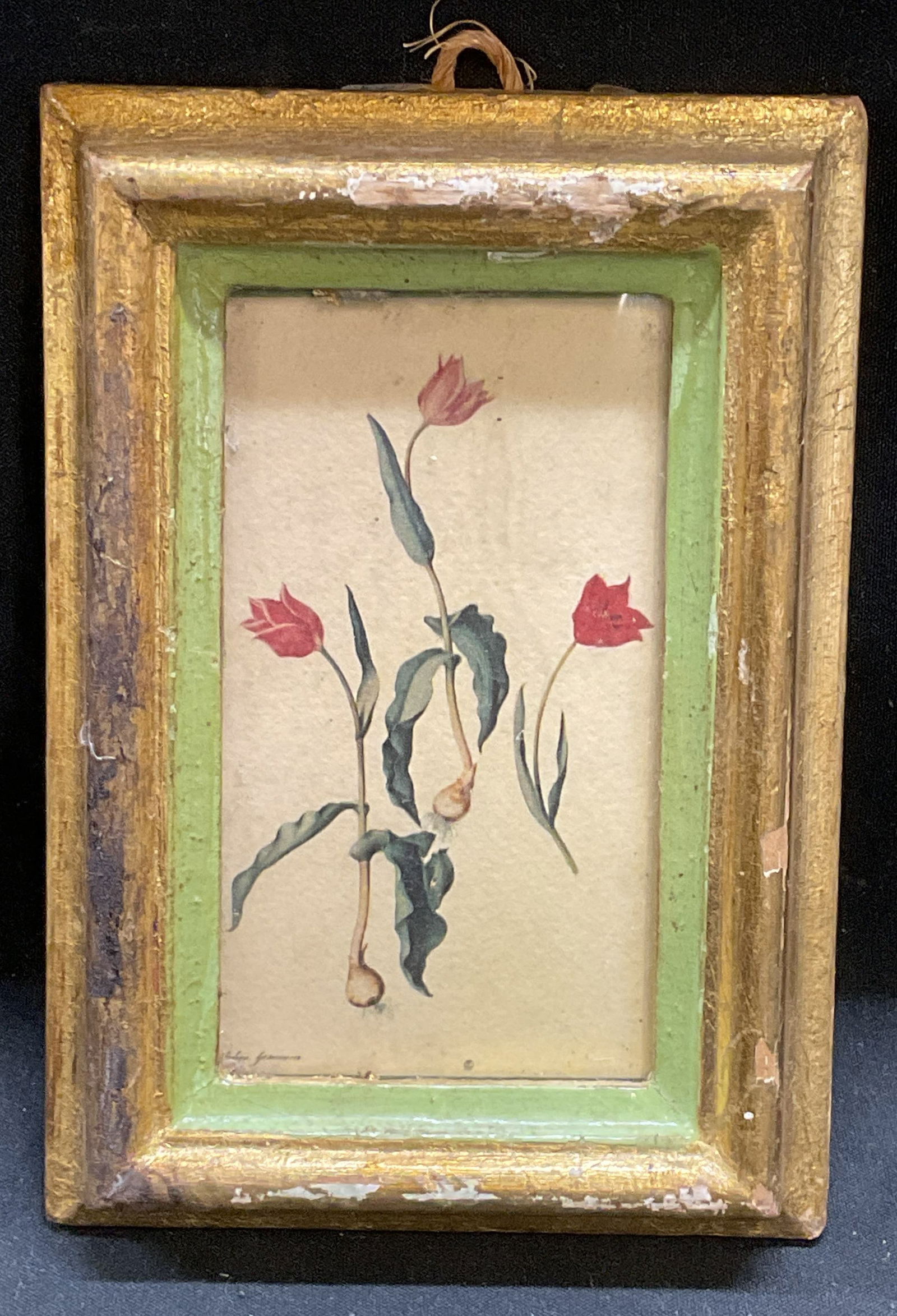 Framed Flower Botanical Lithograph (1 of 6)