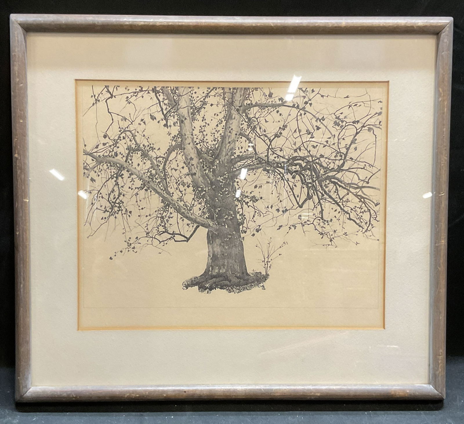 Framed After Andrew Wyeth New Leaves Litho (1 of 6)