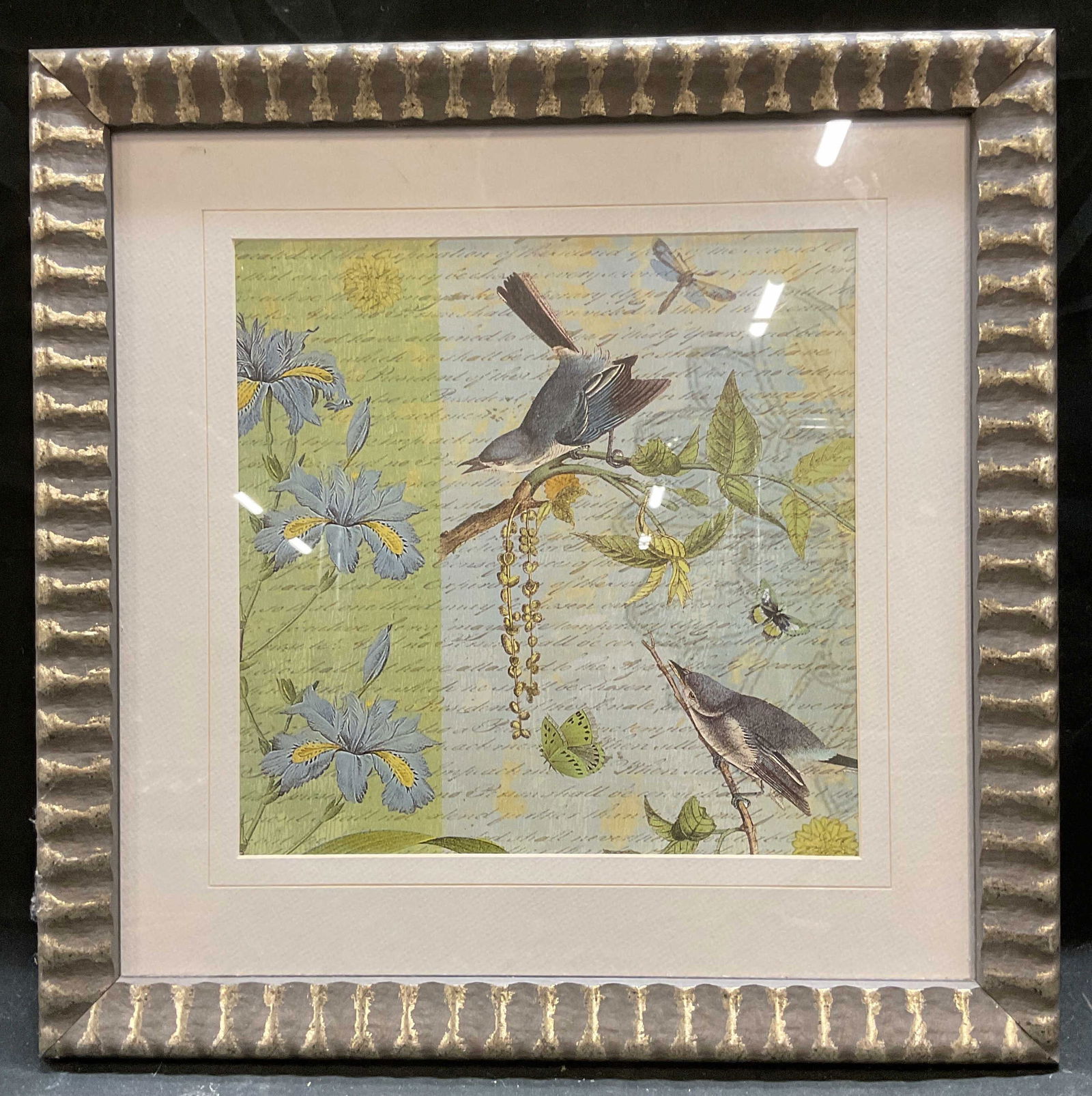 Framed Botanical Birds & Butterfly Lithograph (1 of 6)