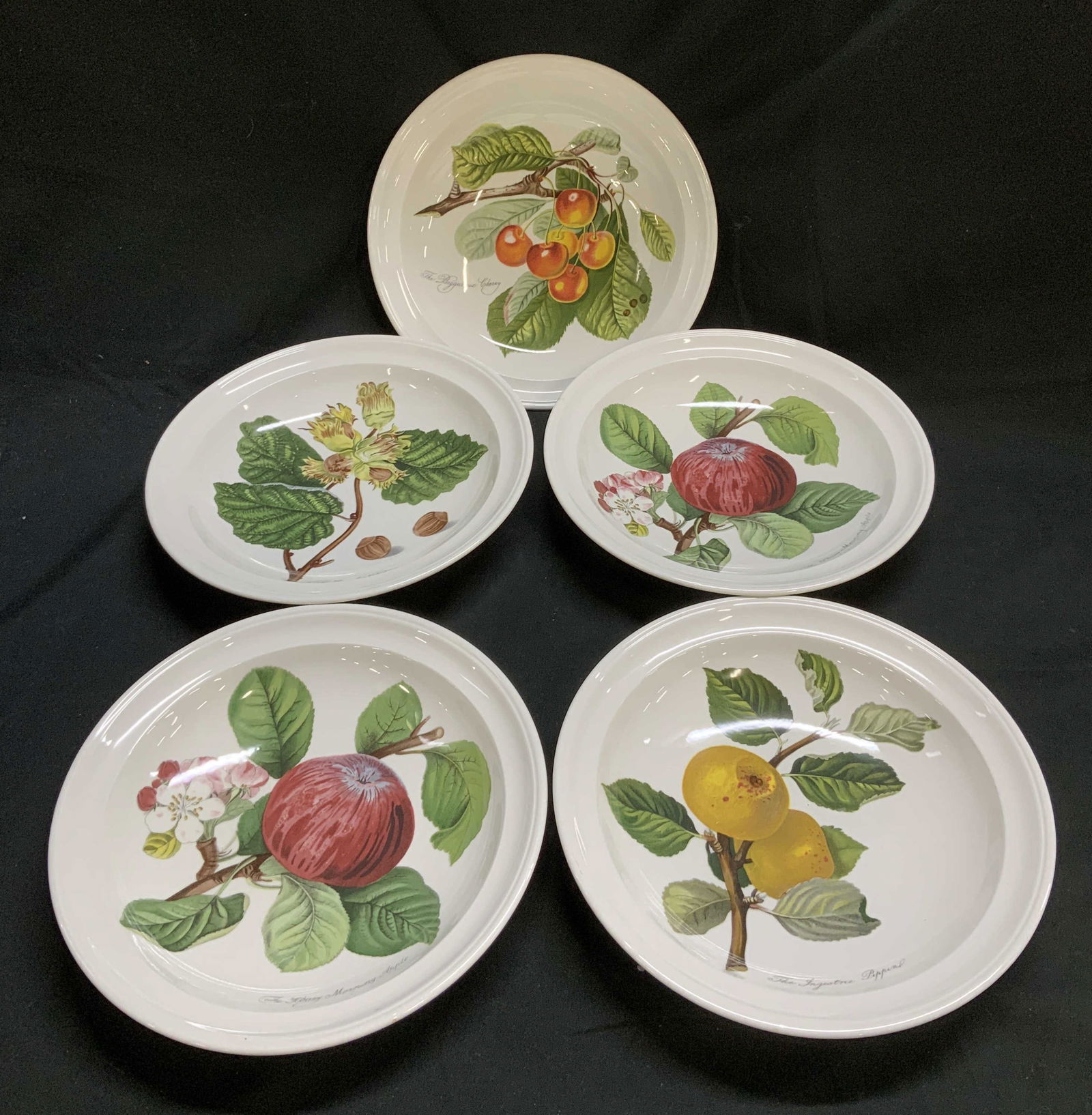 Set 5 Pomona Portmeirion 1982 Bowls ENGLAND (1 of 8)