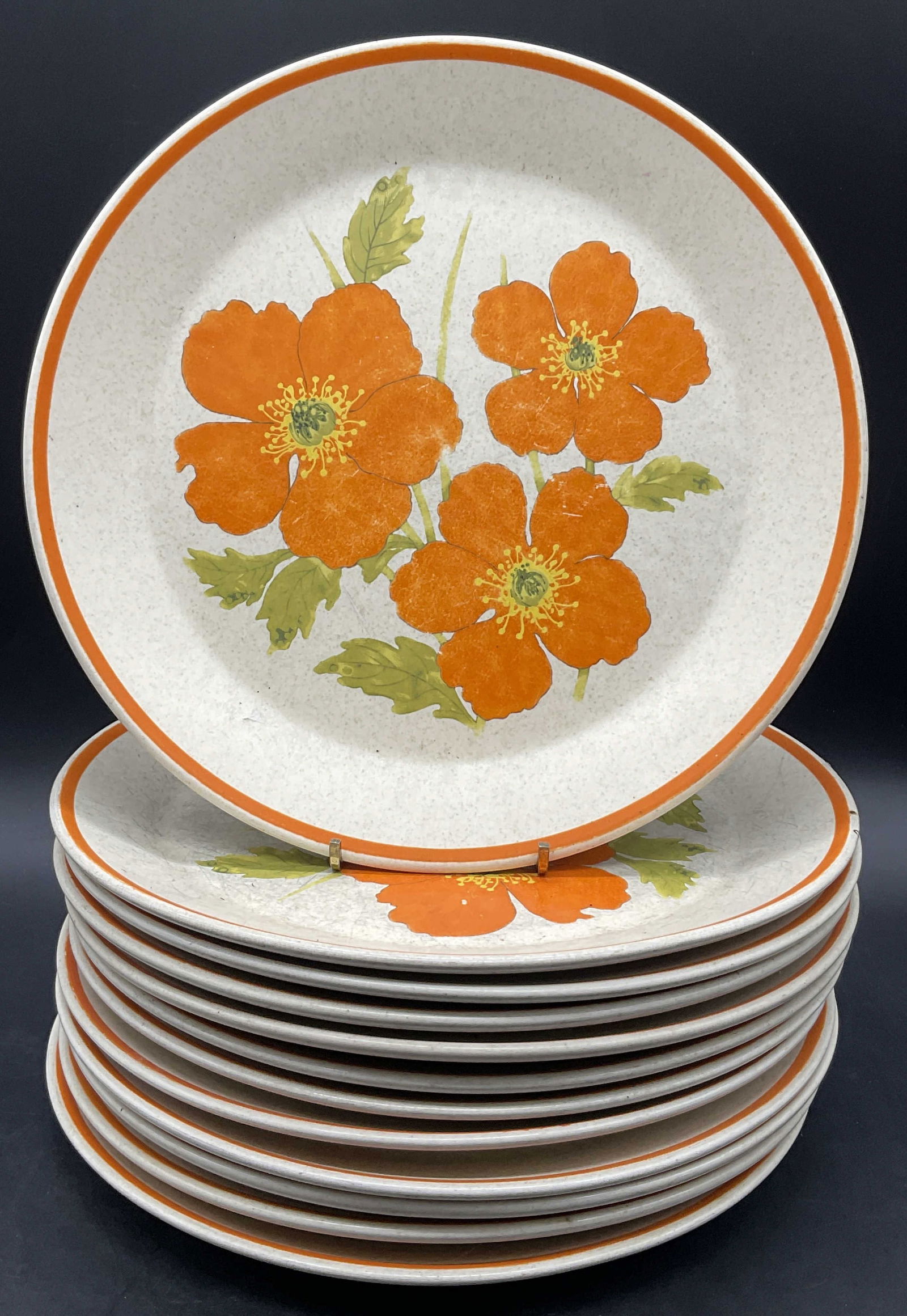 Set 12 TEMPER WARE LENOX USA Fire Flower Plates (1 of 8)