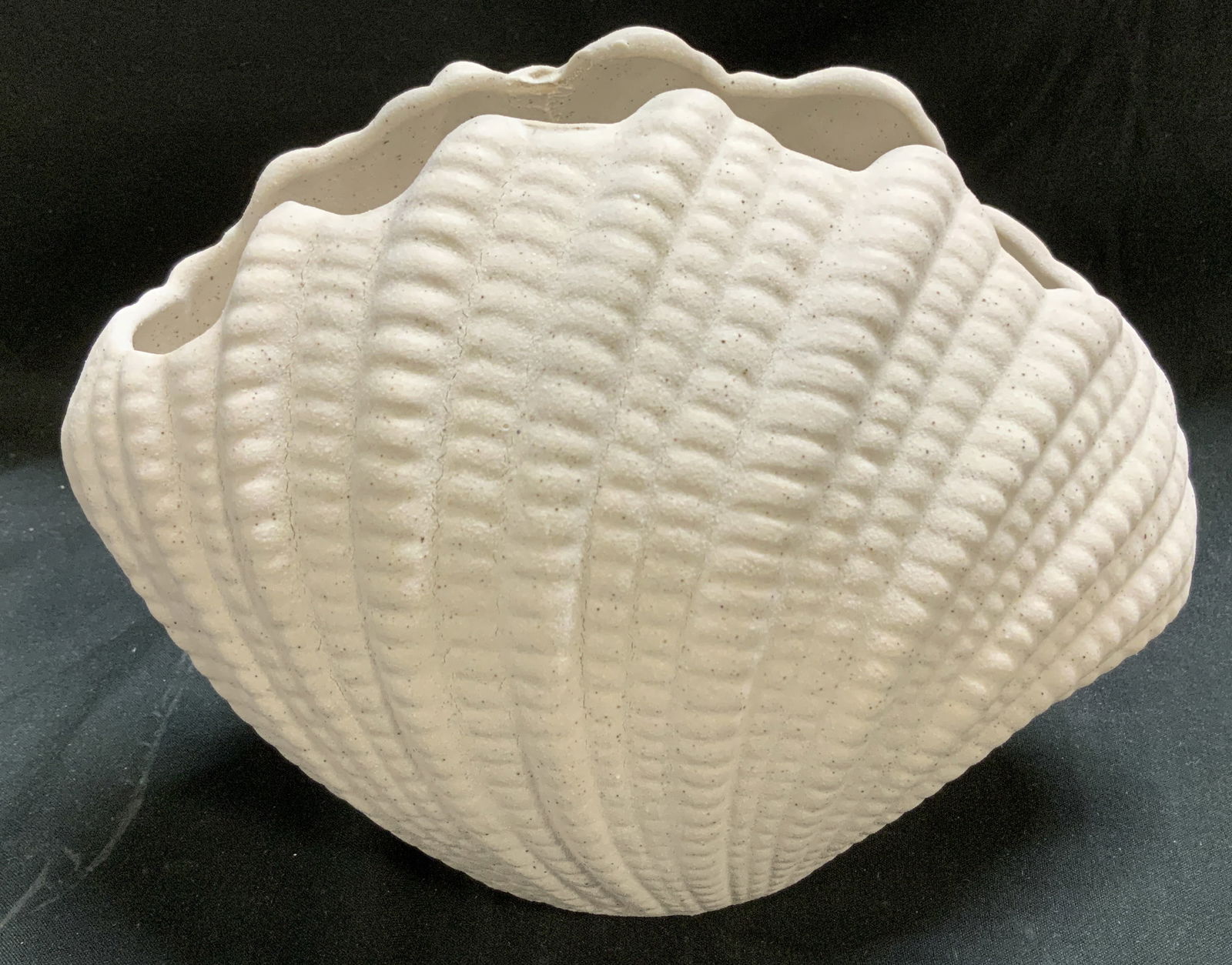 White Ribbed Shell Ceramic Vase: Vase is ceramic & features a distinctive shell shape with a textured, ribbed surface. Speckled pattern throughout body of vase. Surface wear consistent to age, use & exposure. Measurements: length 7.5