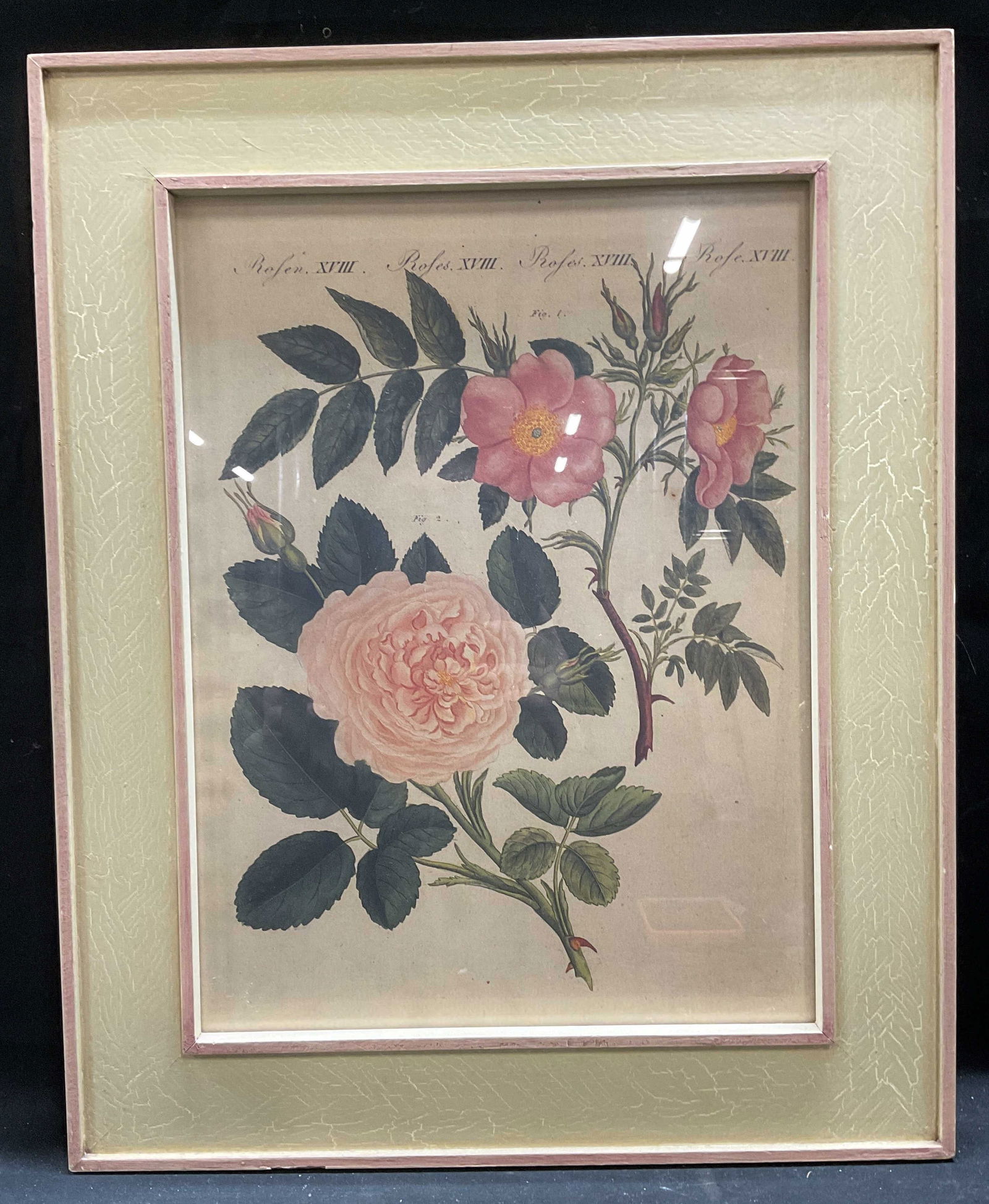 Framed After M Bertuch Botanical Lithograph (1 of 6)