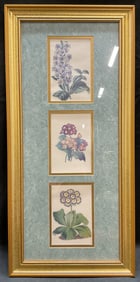 Three Ornate Framed Botanical Flower Lithos