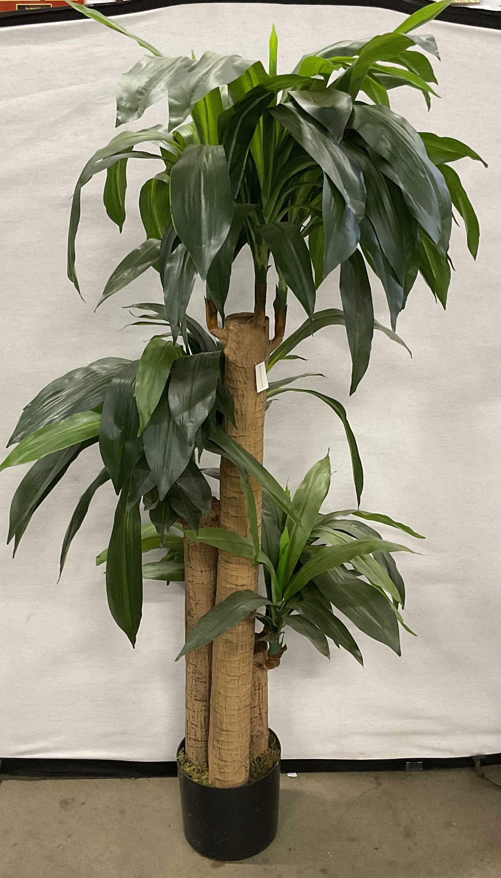 Corn Stalk Dracaena Faux Potted Plant 62 In T NWT: New with tag Corn Stalk Dracaena faux potted plant. Synthetic materials. Measures approx 62 inches tall. Some wear consistent with exposure. Faux plant, corn stalk faux plant, Dracaena faux plant, hom