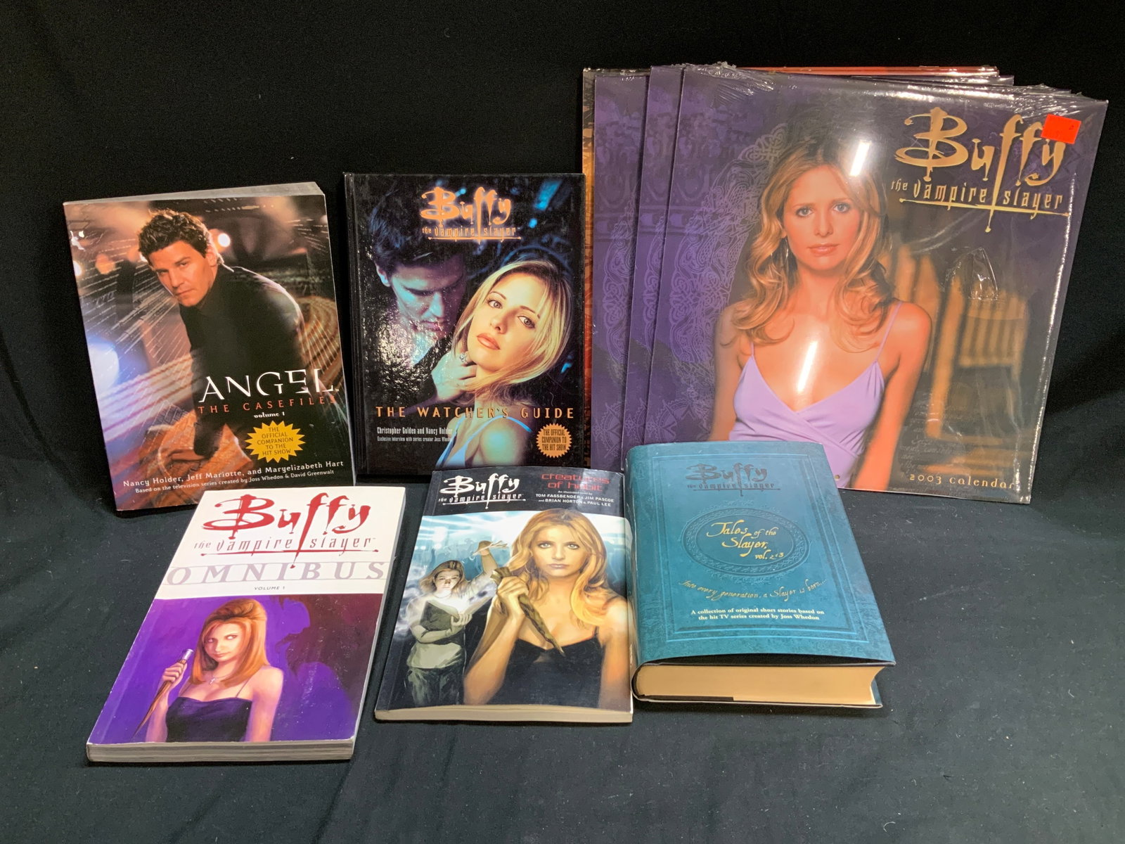 Lot 10 Buffy The Vampire Slayer 1990-2000s Bks: Lot includes, Buffy The Vampire Slayer Omnibus Volume 1 (first edition 2007). Buffy The Vampire Slayer Creature of Habit (2002 first edition), Buffy The Vampire Slayer Tales of the Slayer (2003), Ange