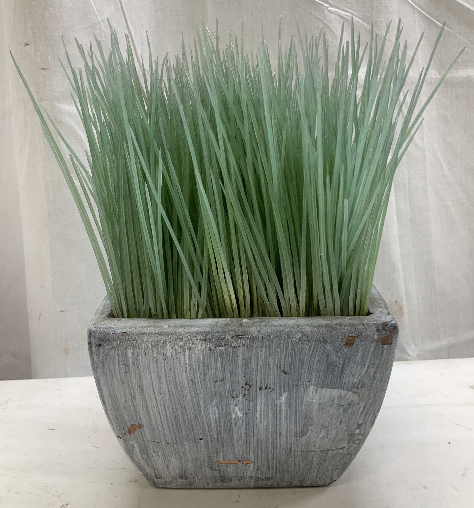 Crate & Barrel Faux Potted Grass (1 of 6)