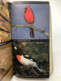 1977 Audubon Society Guide North Amer. Birds BULL