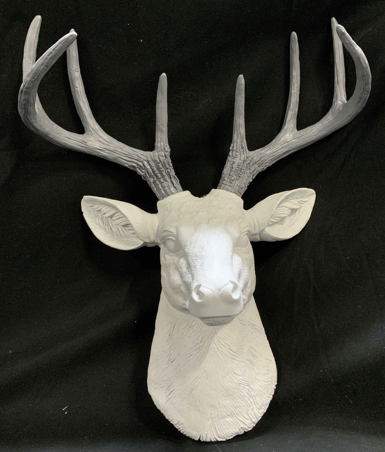2017 DWK White Deer Head Wall Mount (1 of 6)