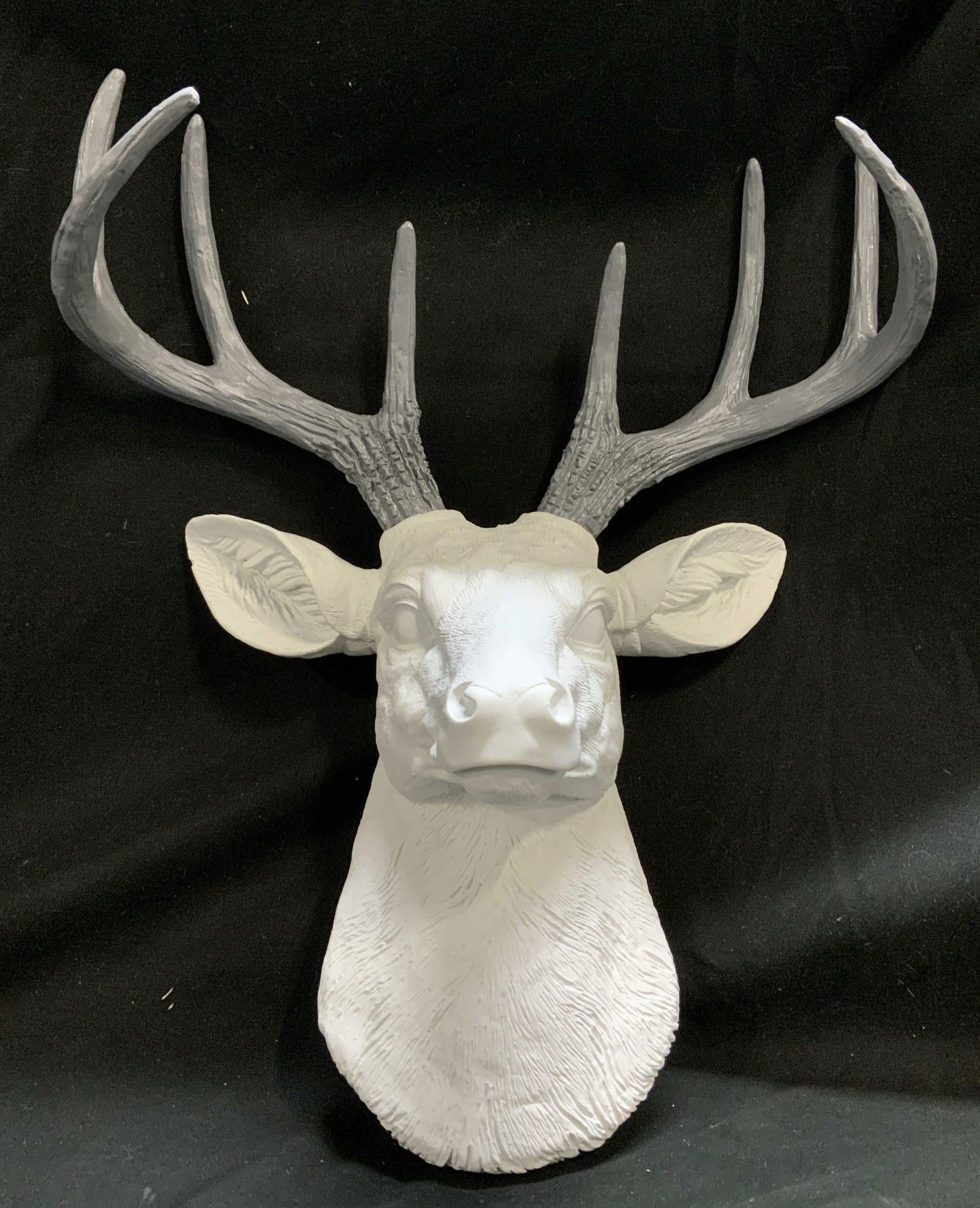 2017 DWK White Deer Head Wall Mount (1 of 6)
