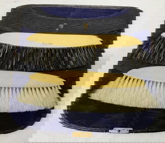 Antq Set Travelers Clothes Brushes & Case FRANCE