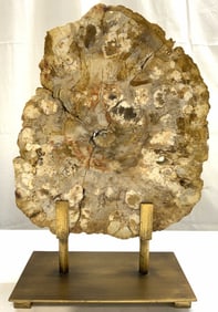 UTTERMOST Petrified Wd Slab On G Metal Base