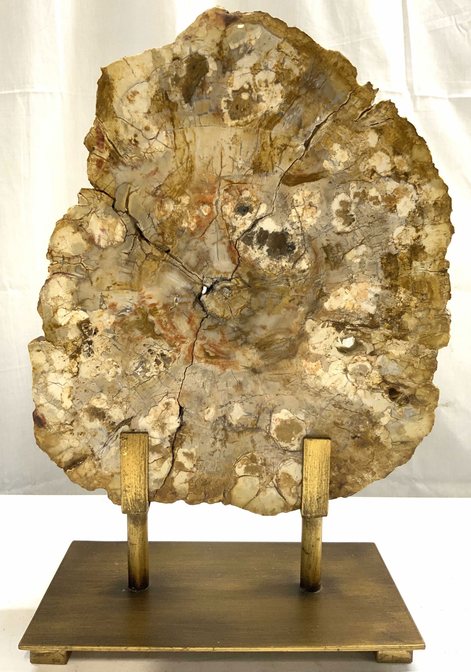 UTTERMOST Petrified Wd Slab On G Metal Base (1 of 9)