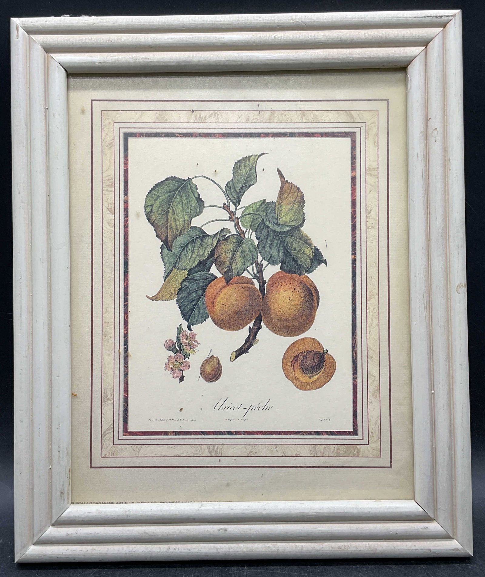 Framed Peach Botanical Lithograph (1 of 6)