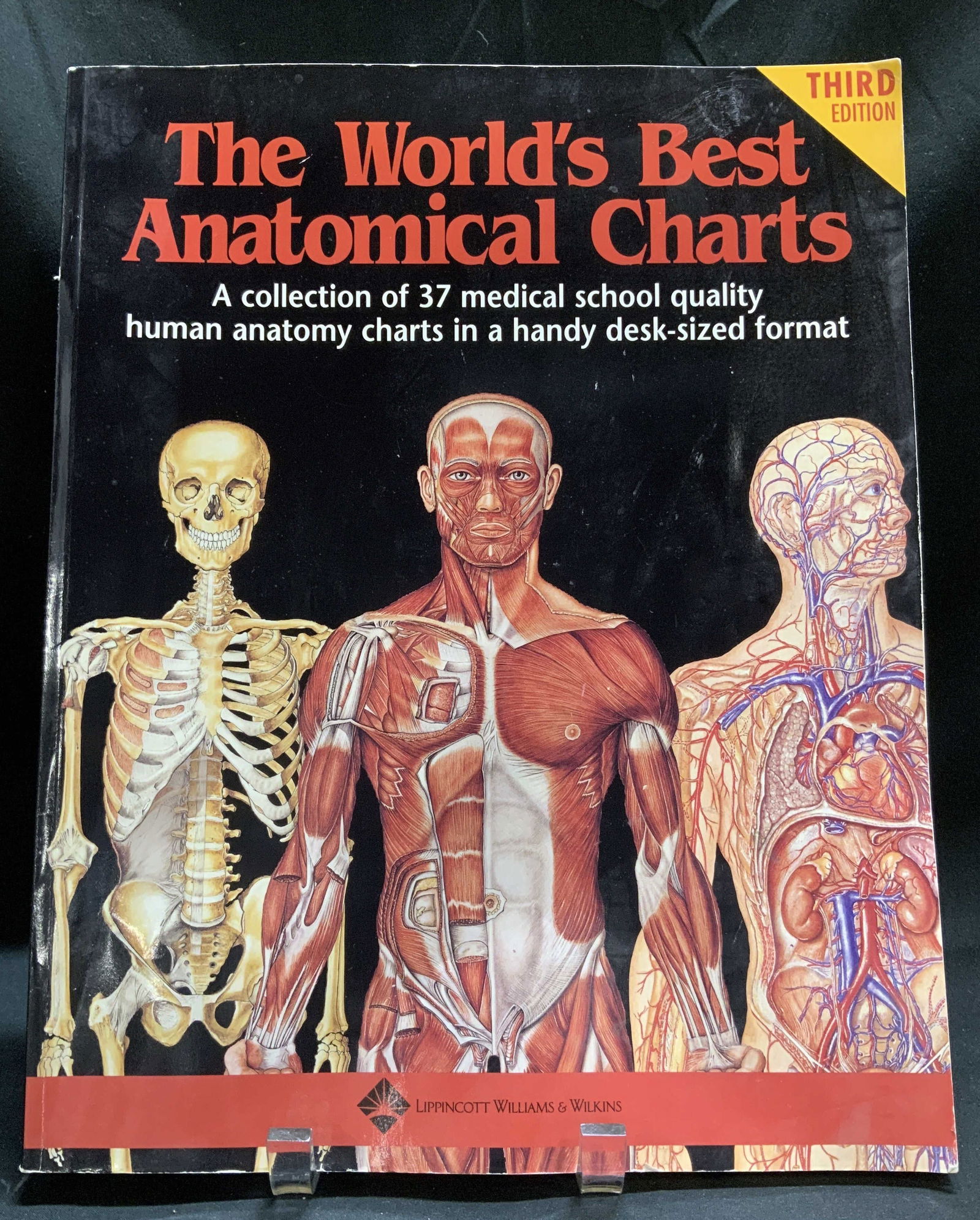 2000 The Worlds Best Anatomical Charts 3rd Ed Bk (1 of 8)