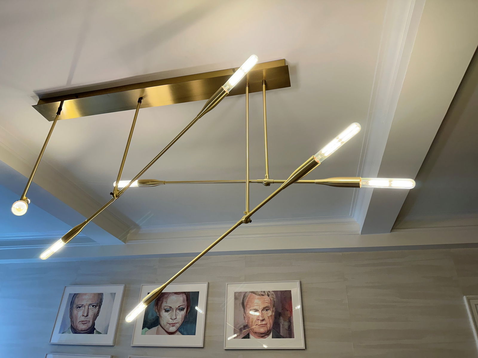 Sorenthia Light by Studio Dunn: The fixture was inspired by kelps long blades and beaded joints and the brass form combines the beauty of nature with sharp, industrial lines. Constructed of brass and steel elements, the simplicity o