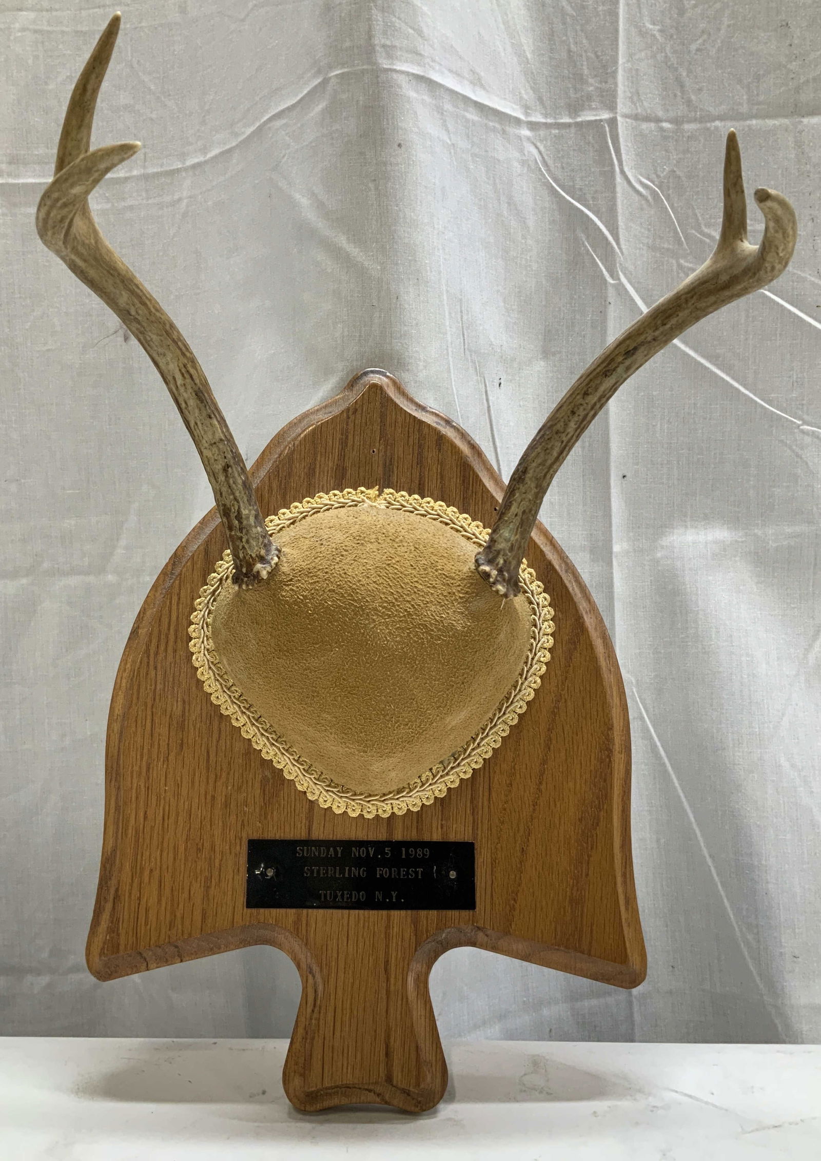 1989 Deer Antler Taxidermy Wooden Mount NY: Lot includes, 1 taxidermy mount of deer antlers on a wooden plaque. Antlers are mounted on a suede skull cap & feature decorative trim. Plaque reads, Sunday Nov.5 1989. Sterling Forest Tuxedo N.Y. Sur