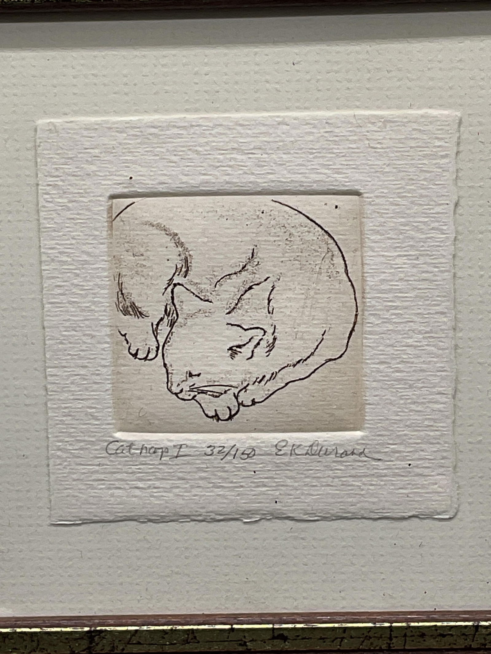 Framed Signed Cat Nap Ltd Edition Etching - 2