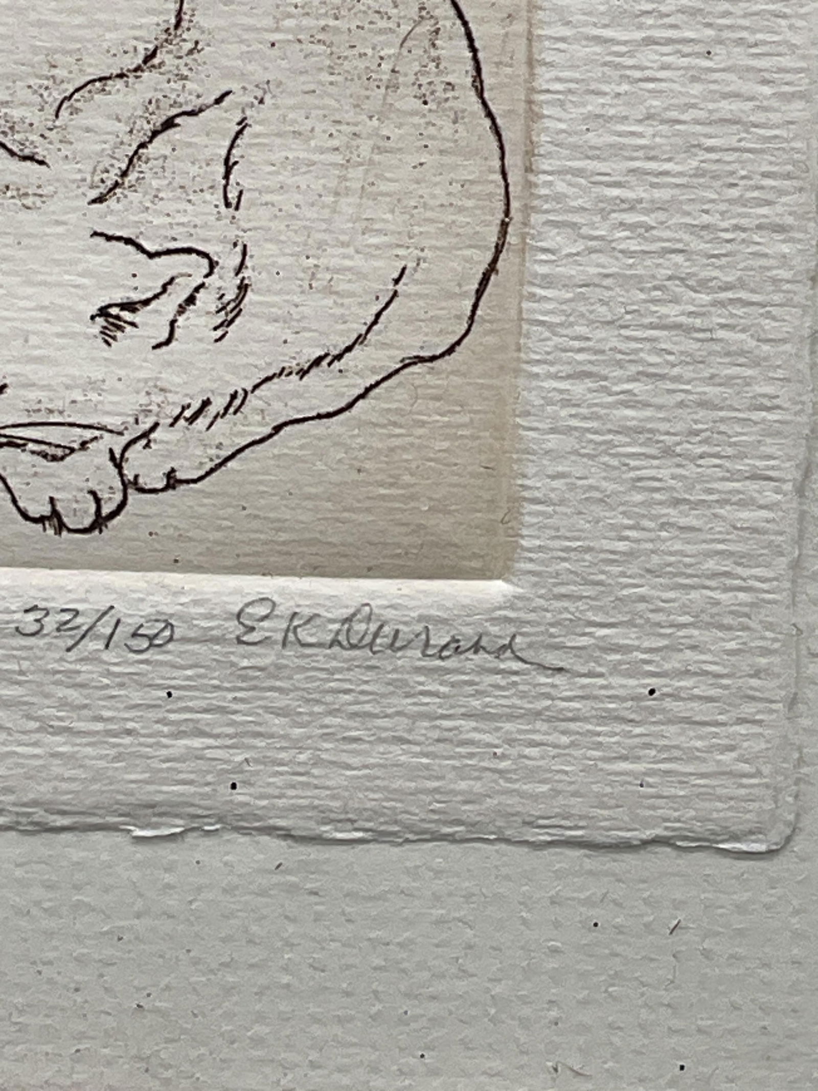 Framed Signed Cat Nap Ltd Edition Etching - 3