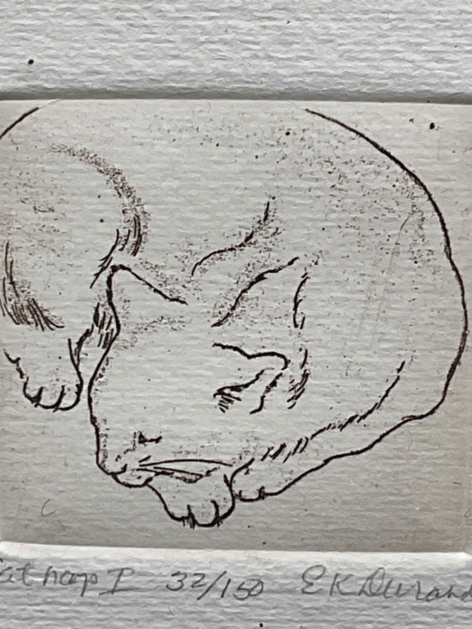 Framed Signed Cat Nap Ltd Edition Etching - 5