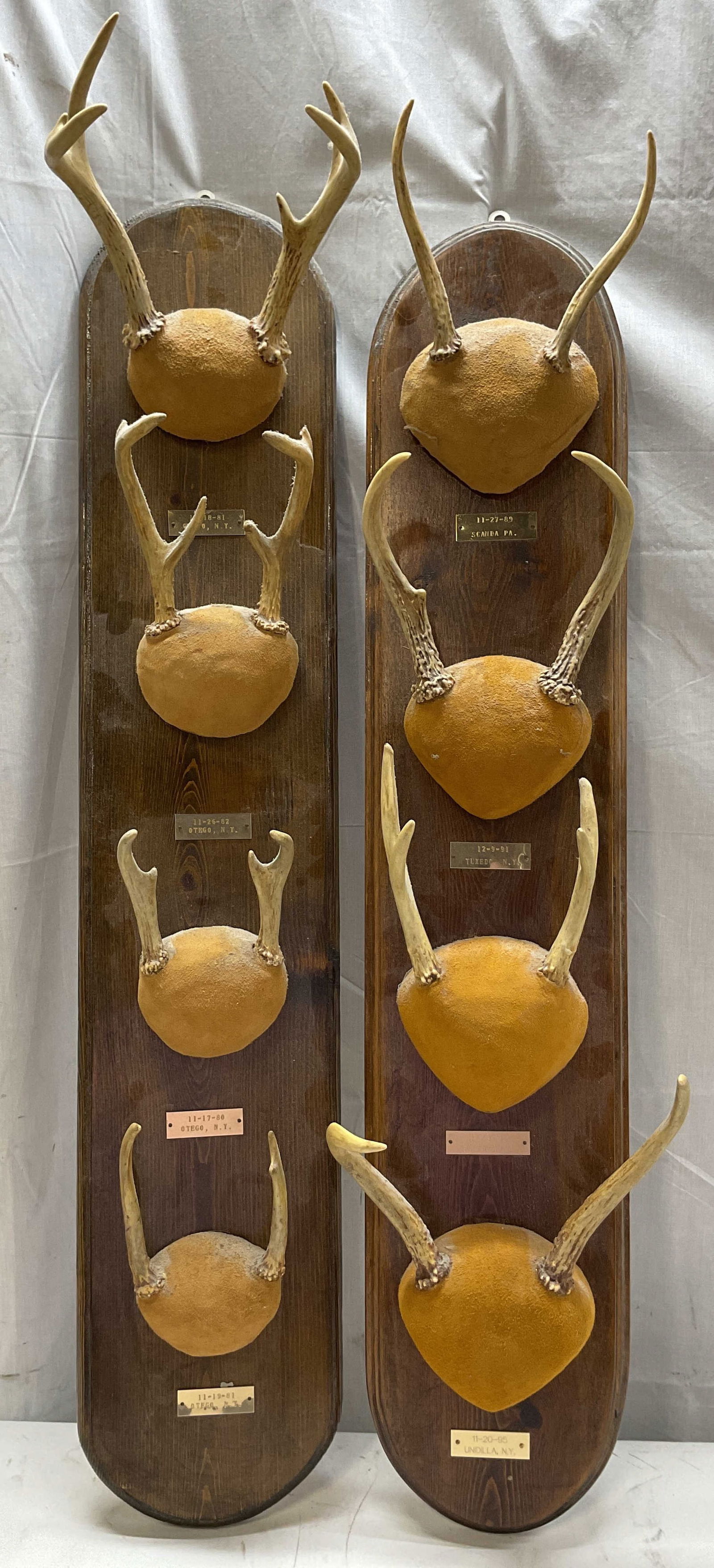 Pair Deer Antler Wooden Mount 1980s-90s NY PA 3ft: Pair of deer antler taxidermy wooden wall mount. 8 total taxidermy mount of deer antlers on a wooden plaque. Antlers are mounted on a suede skull cap. Plaques read in order 11-18-81 Otego, NY