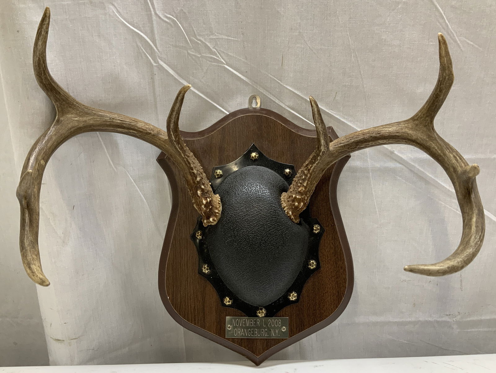 2008 Deer Antler Taxidermy Wooden Wall Mount NY: Lot includes, 1 taxidermy mount of deer antlers on a wooden plaque. Antlers are mounted on a black plastic skull cap. Plaque reads, November 1, 2008. Orangeburg, N.Y. Surface wear consistent to age, u