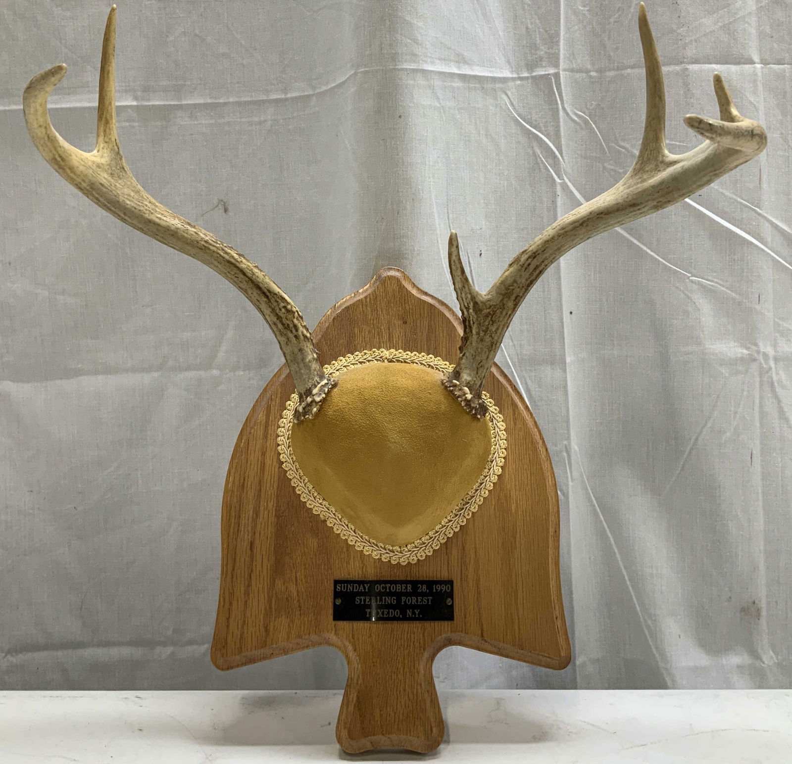 1990 Deer Antler Taxidermy Plaque Mount (1 of 6)