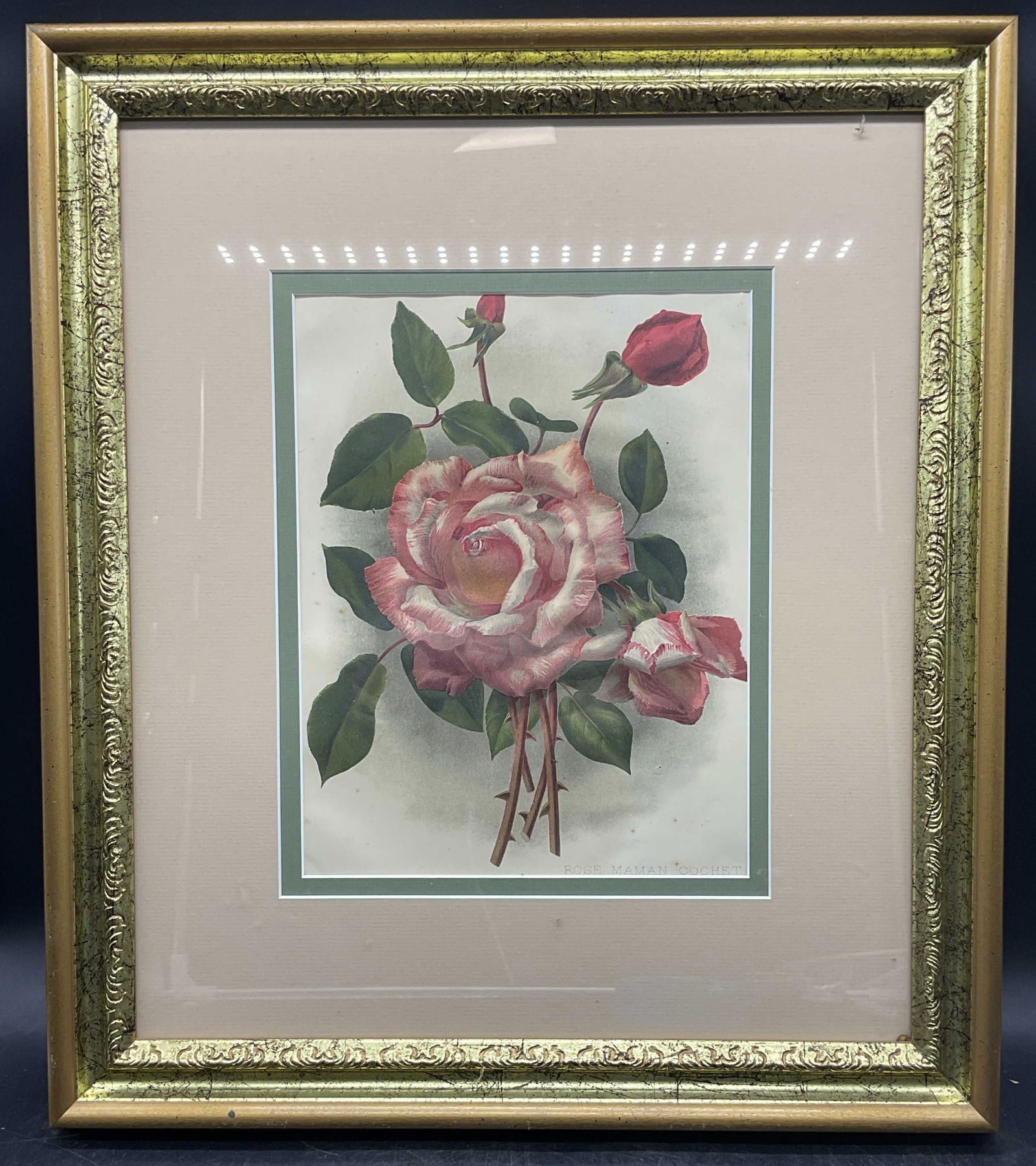 Gilt Framed Rose Maman Cochet Lithograph (1 of 6)