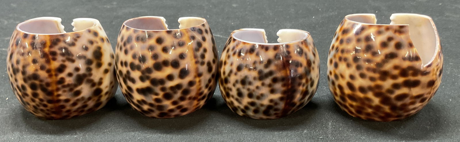 Set 4 Tiger Cowrie Shell Napkin Rings Philippines (1 of 9)