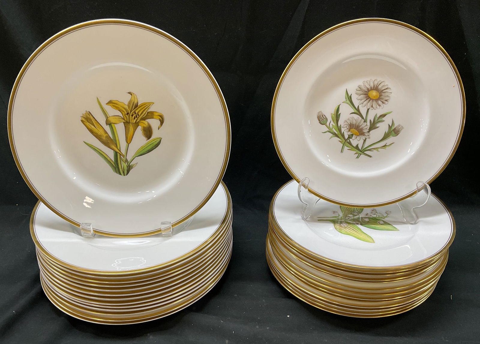 Set 28 Royal Worcester Williamson China Plates (1 of 9)