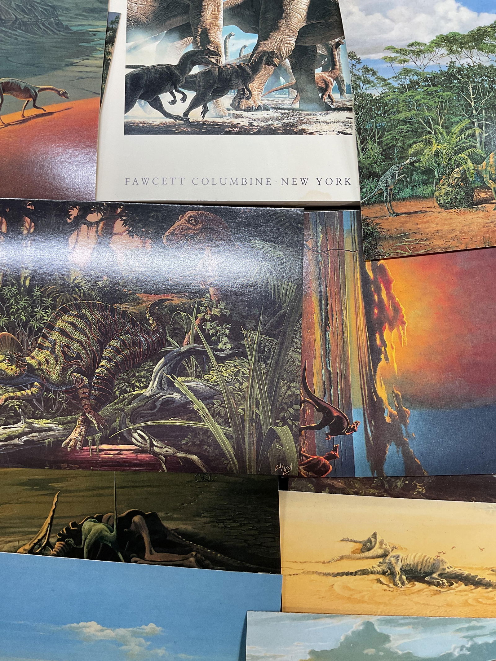 Lot 15+ Canadian Museum Of Nature Dino Postcards (1 of 14)