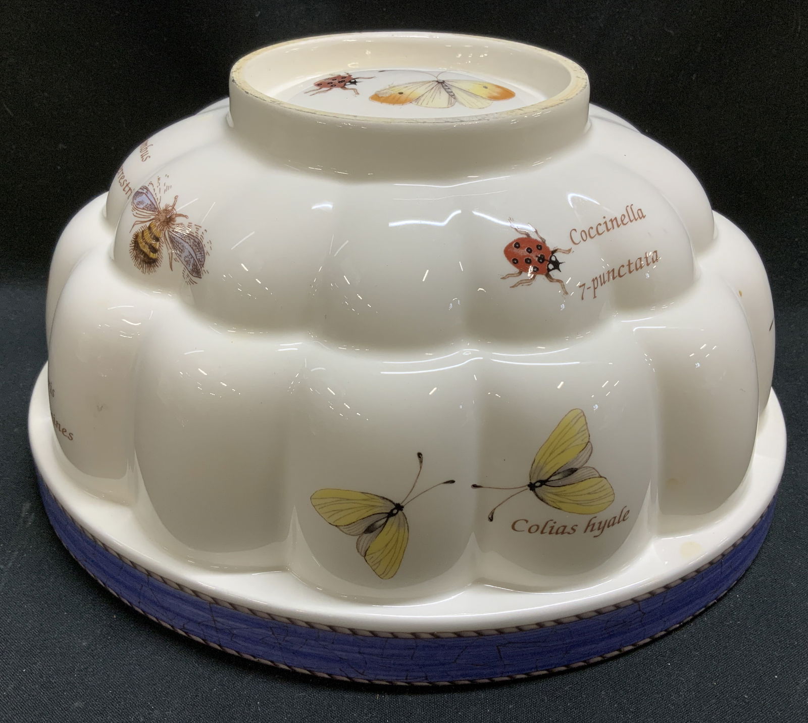Vtg Wedgwood Sarahs Garden Jelly Mold ENGLAND: Vintage Wedgwood Sarahs Garden jelly mold featuring butterflies, ladybugs & bees. Latin names printed. Signed & marked on underside. Reads, WEDGWOOD ENGLAND. Surface wear consistent to age, use & expo