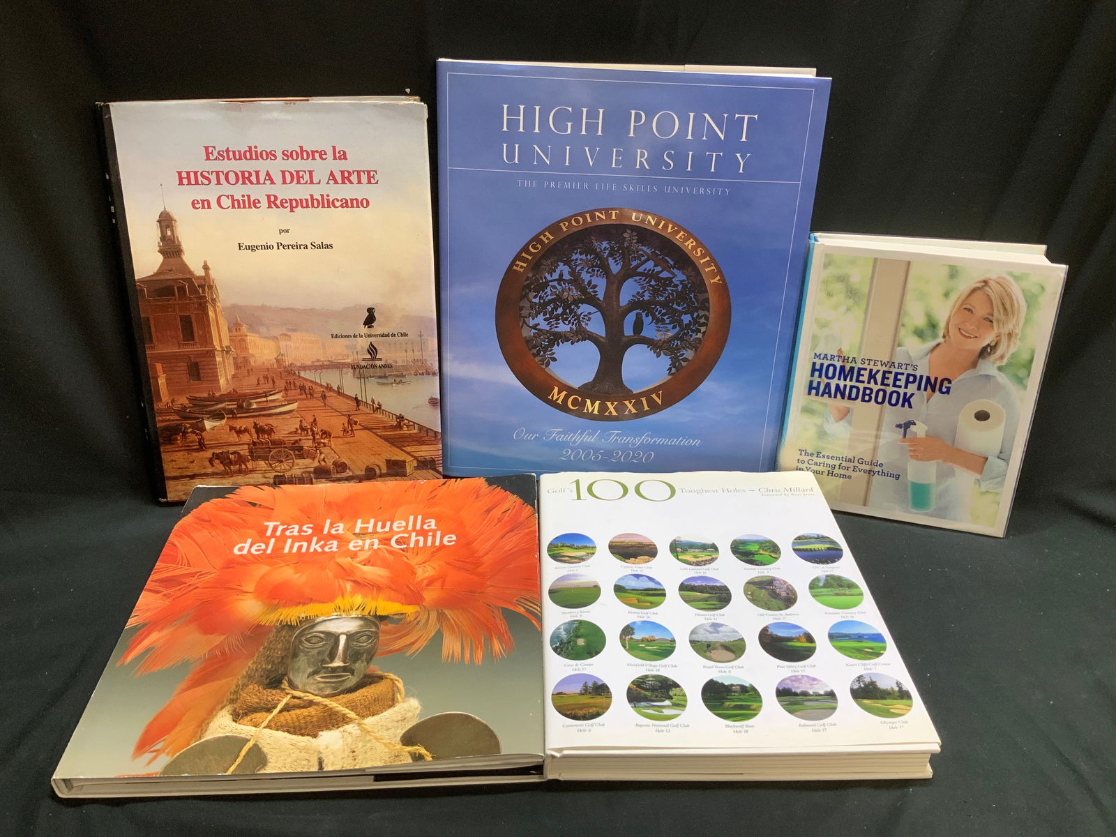 Lt 5 Assort Art & University+ Bks 1990-2020s SALAS (1 of 20)