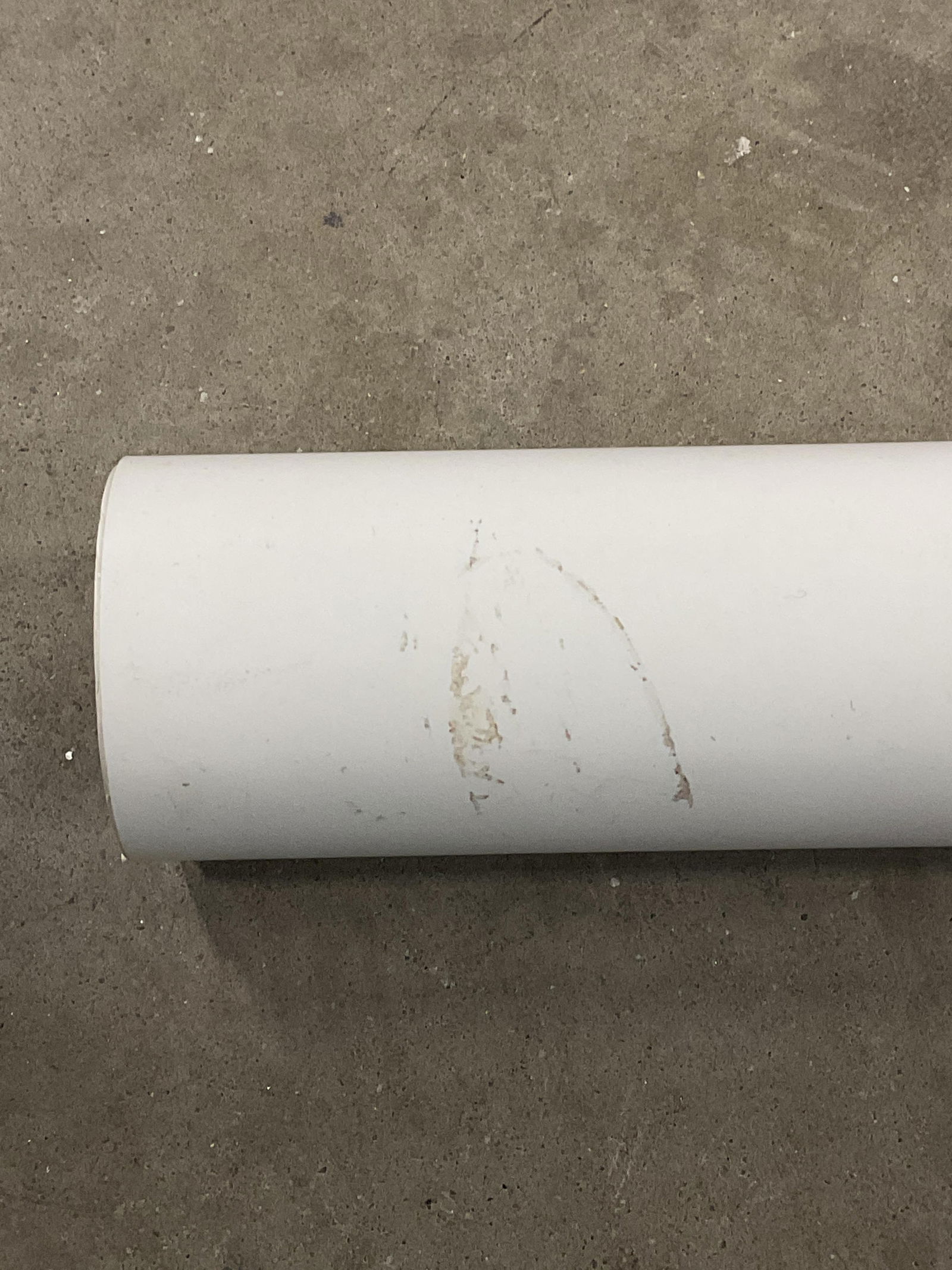 Signed Elyse Yellow Orchids Lithograph - 6