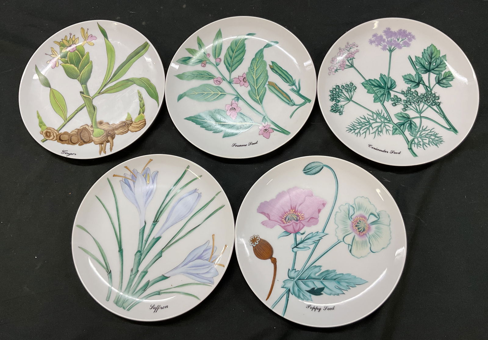 Lot 5 Horchow Coll Botanical Por Plates Japan (1 of 10)