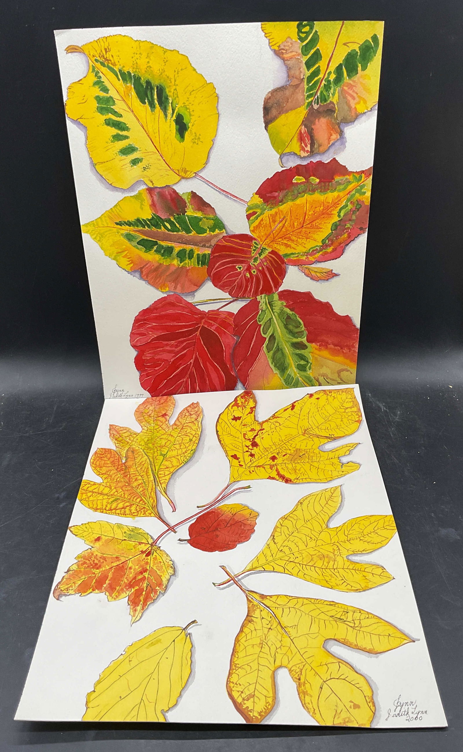 2 Judith Lynn Fall Leaves Watercolor Paintings (1 of 6)