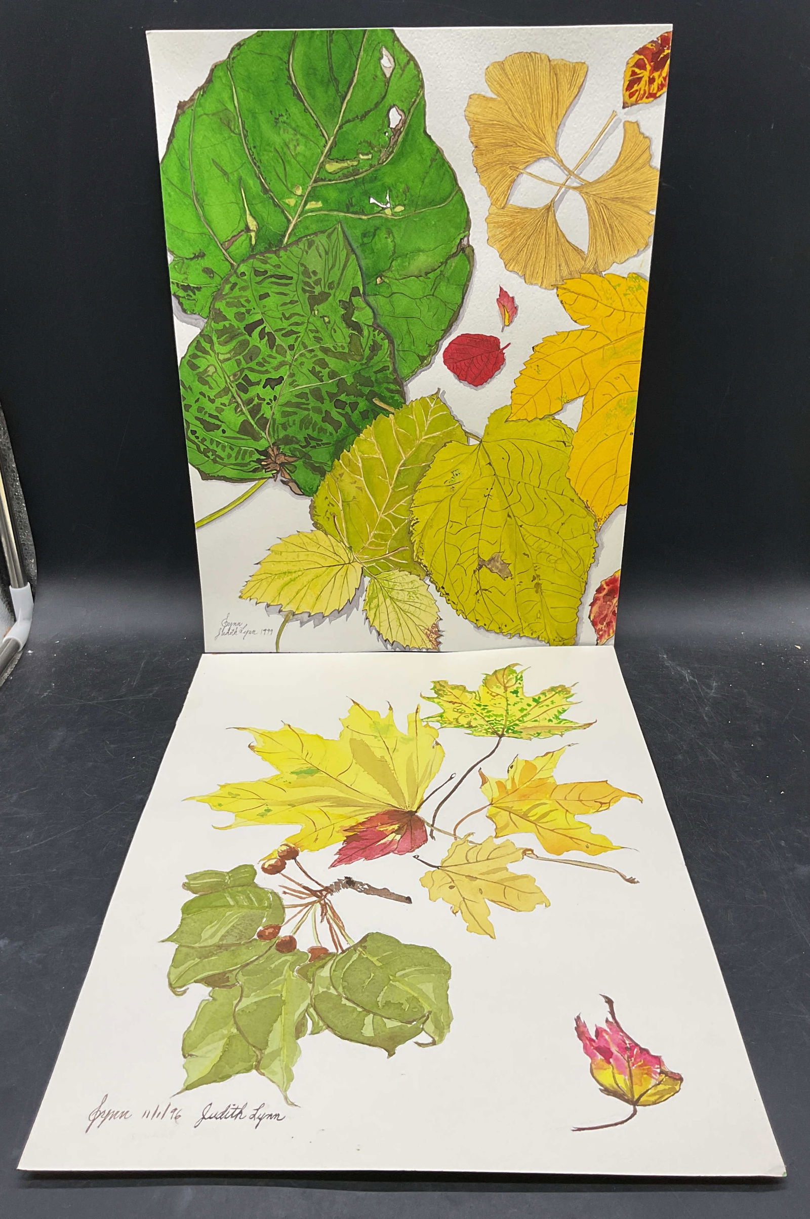 2 Judith Lynn Fall Leaves Watercolor Paintings (1 of 6)