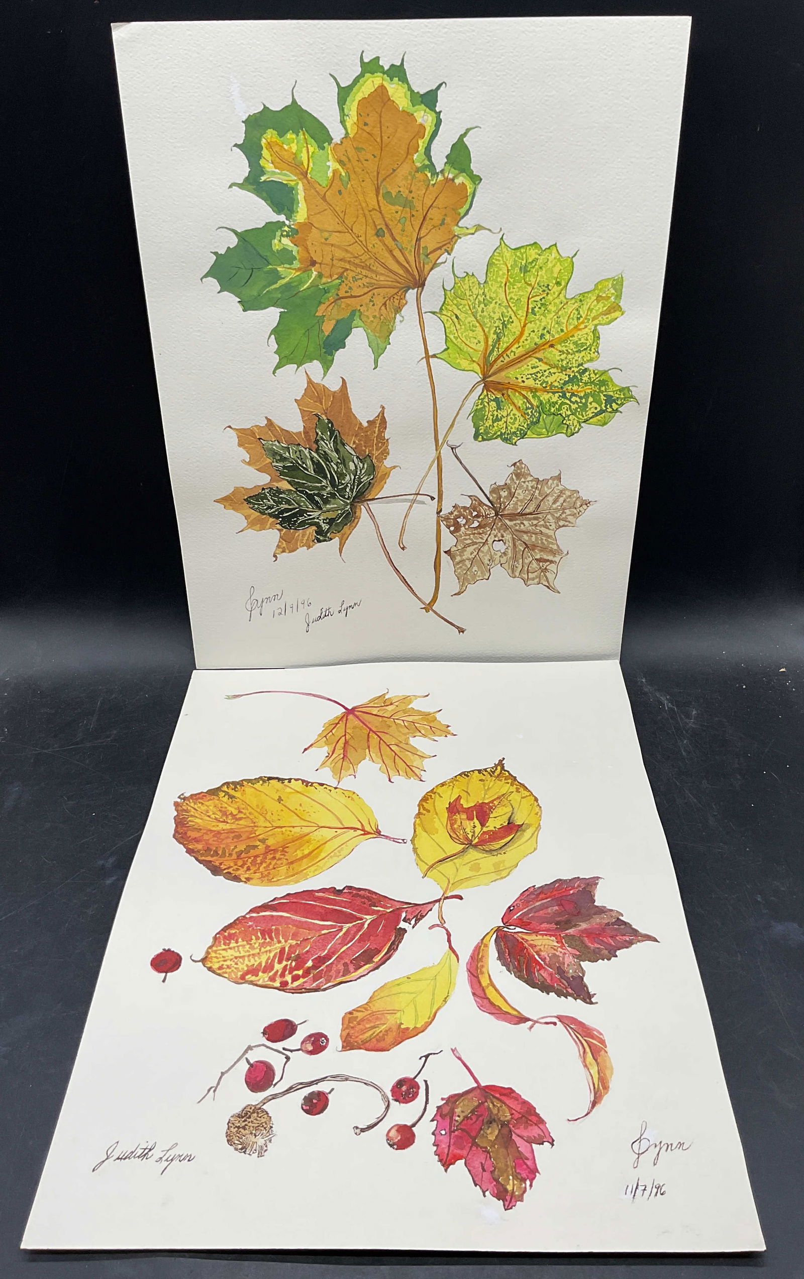 2 Judith Lynn Fall Leaves Watercolor Paintings (1 of 6)
