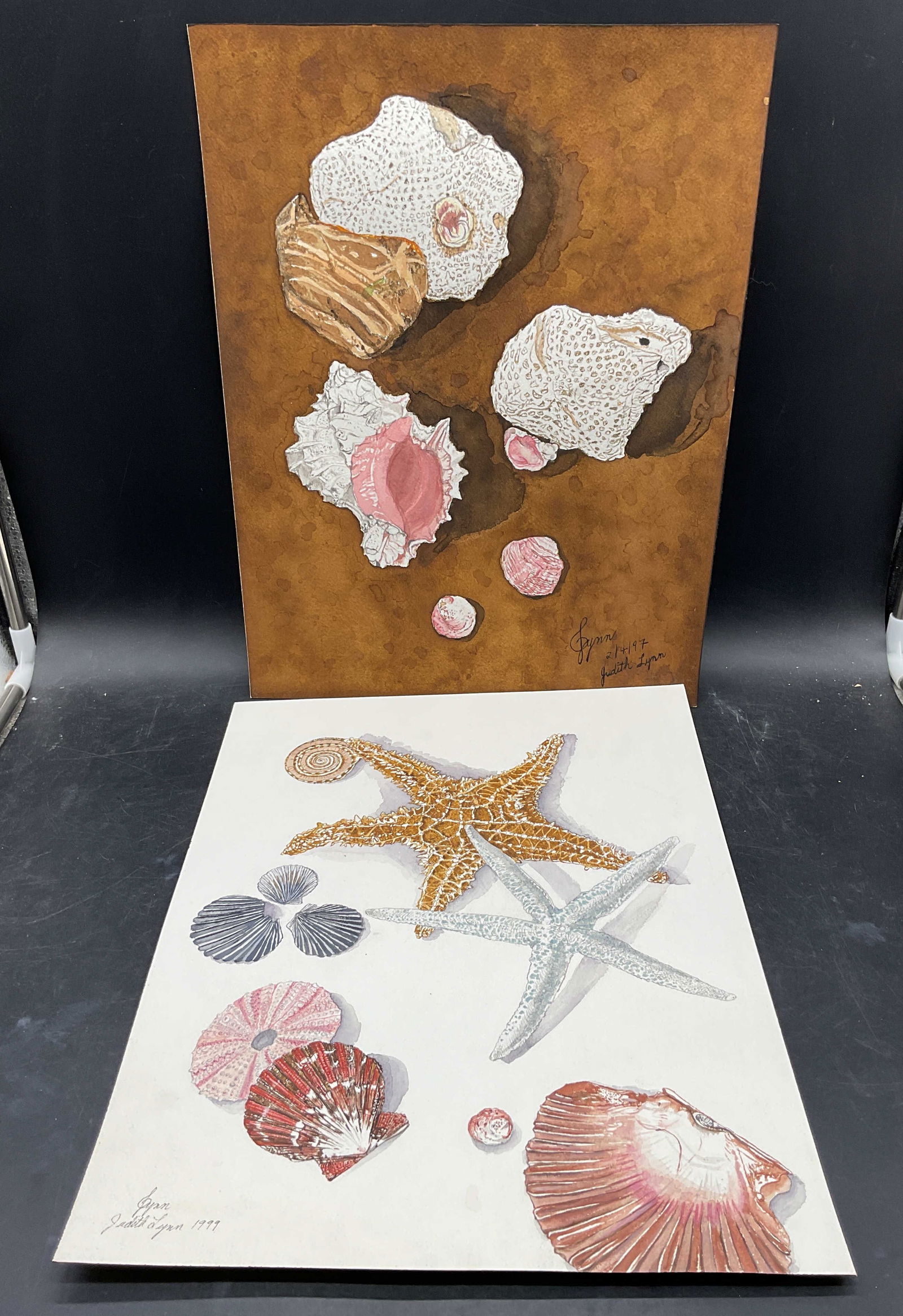 2 Judith Lynn Seashells Watercolor Paintings: Lot of 2 watercolor paintings on paper. Signed Judith Lynn. Still life seashells and starfish. Measures approx. 16 x 12 inches. some wear consistent with exposure. Property of opera singers estate fro