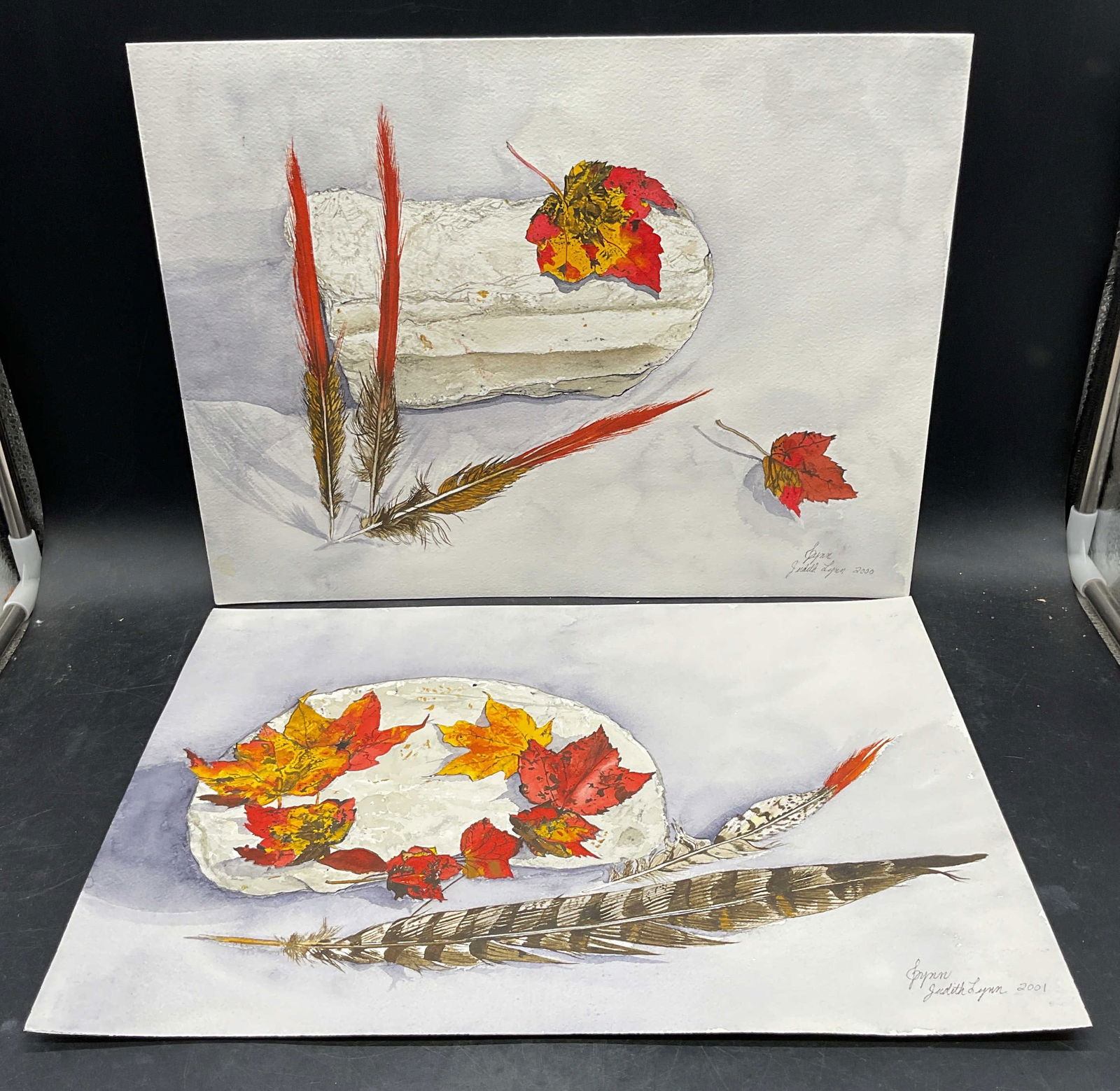 2 Judith Lynn Feathers Leaves Watercolor Paintings (1 of 6)