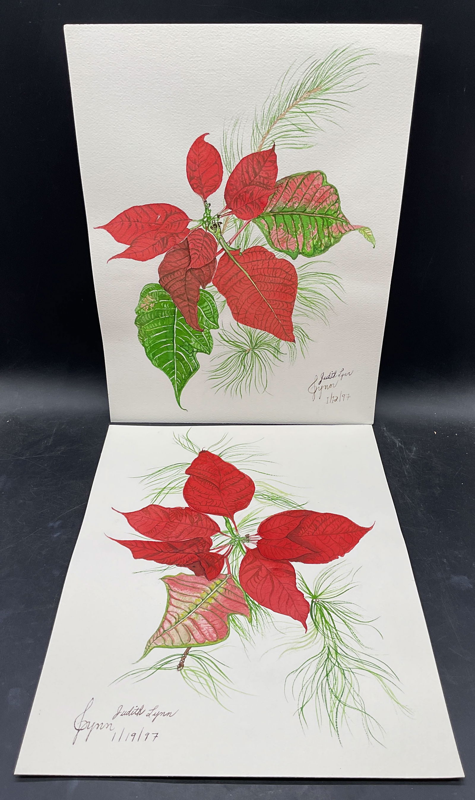 Lot 2 Judith Lynn Poinsettia Watercolor Paintings: Lot of 2 Watercolor paintings on paper. Signed Judith Lynn. Poinsettia plants. Measures approx 12 x 16 inches. Some wear consistent with exposure. Property of opera singers estate from the