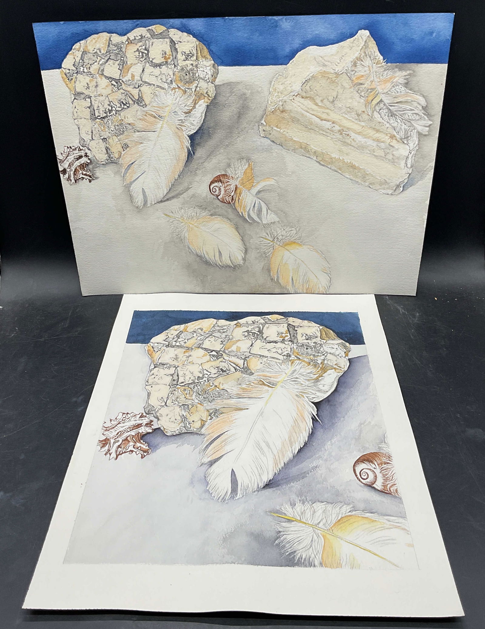 Lot 2 Judith Lynn Feather & Shell Watercolors: Lot of 2 Watercolor paintings on paper. One signed Judith Lynn. Feathers, shells, and rocks. Measures approx 12 x 16 inches. Some wear consistent with exposure. Property of opera singers estate from t