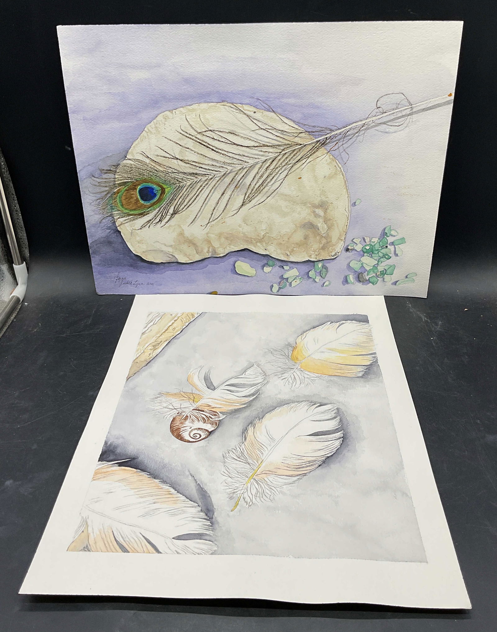Lot 2 Judith Lynn Feather & Shell Watercolors: Lot of 2 Watercolor painting on paper. Signed Judith Lynn. Feathers, shells, and rocks. Measures approx 12 x 16 inches. Some wear consistent with exposure. Property of opera singers estate from