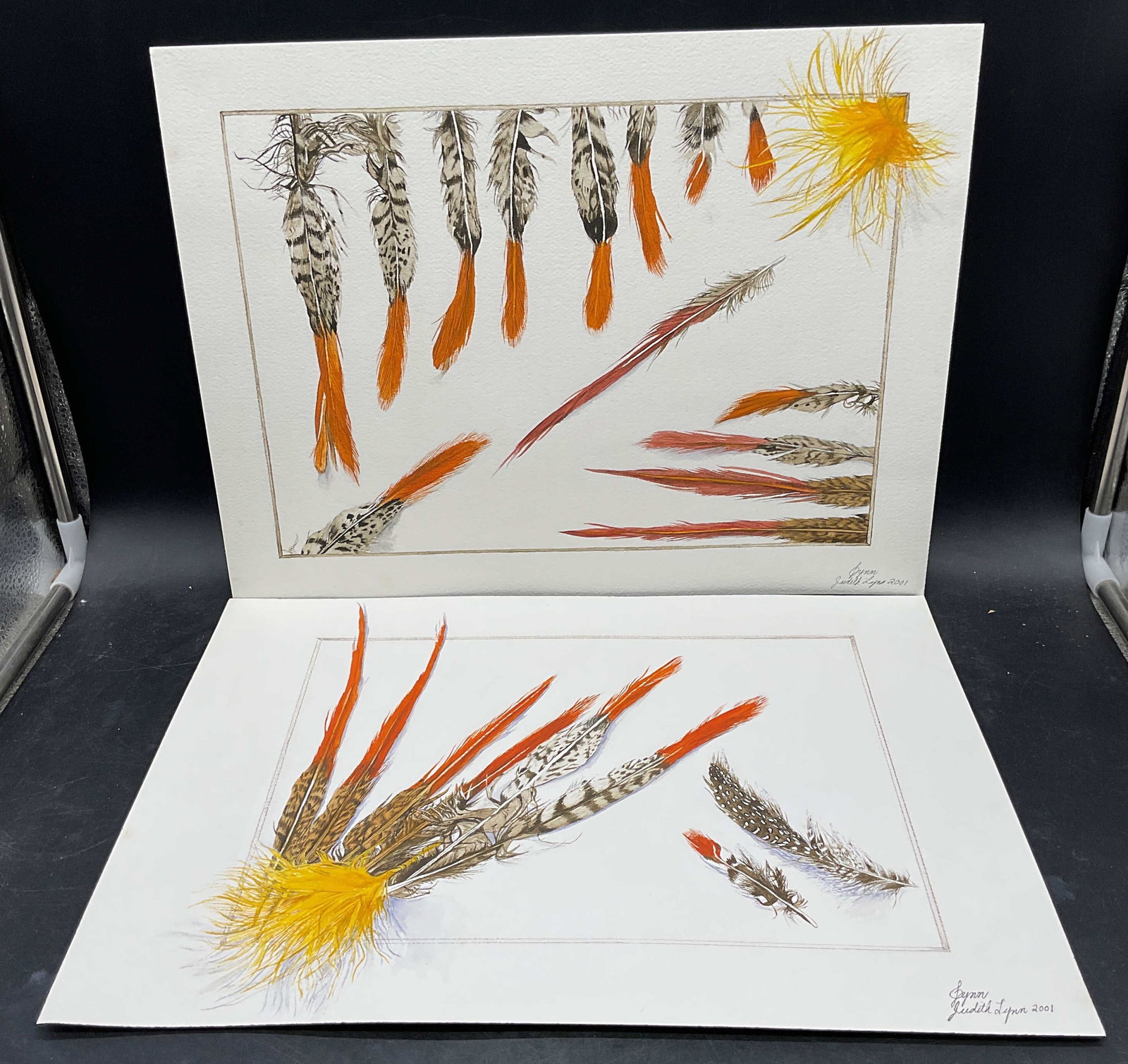 Lot 2 Judith Lynn Orange Feather Watercolors: Lot of 2 Watercolor paintings on paper. Signed Judith Lynn. Orange feathers. Measures approx 12 x 16 inches. Some wear consistent with exposure. Property of opera singers estate from the renowned