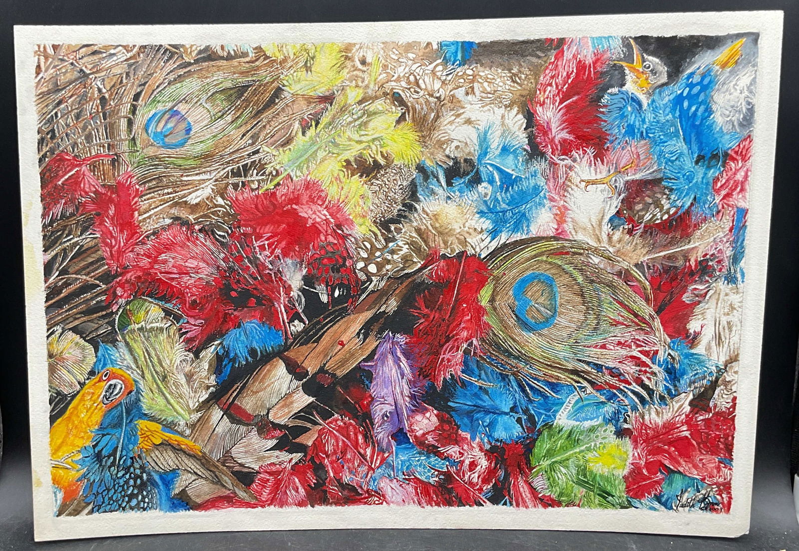Judith Lynn Birds Feathers Watercolor Painting: Watercolor painting on paper. Signed Judith Lynn. Birds and feathers, Measures approx. 14 x 20 inches. Some wear consistent with exposure. Property of opera singers estate from the renowned and